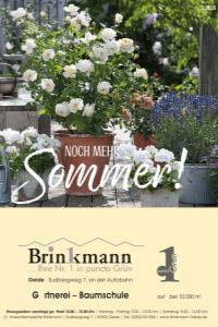 Brinkmann Oelde